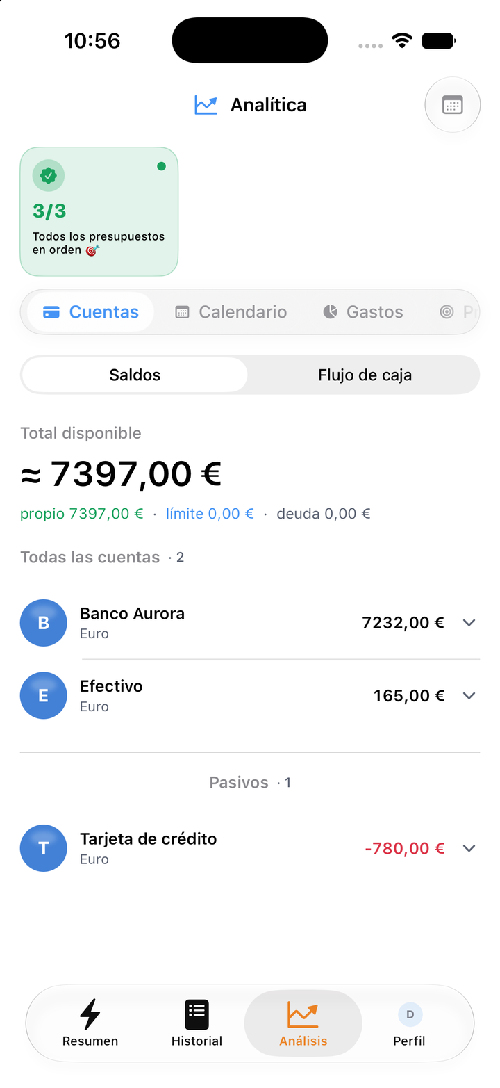 Saldo de las cuentas y calendario de gastos