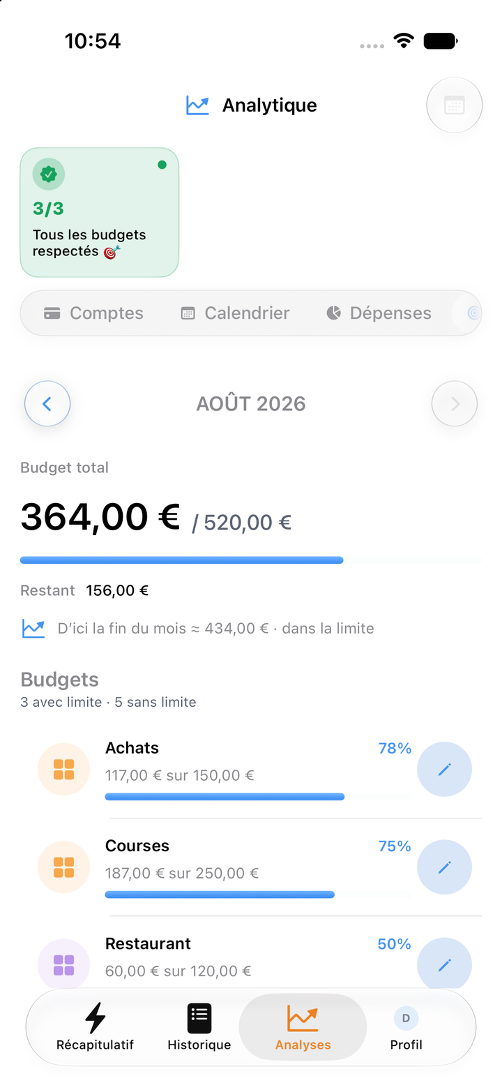 Budgets par catégorie et leurs limites